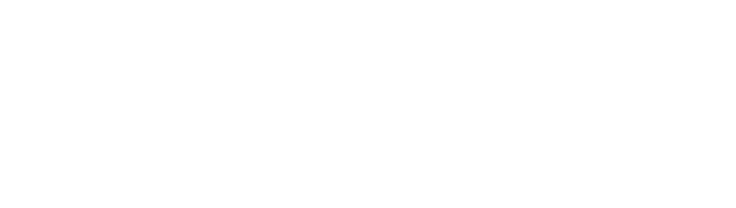 Auckland Airport logo fulle size on a dark background (transparent PNG)
