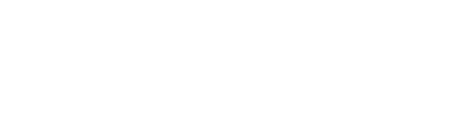 American Integrity Insurance Group logo fulle size on a dark background (transparent PNG)