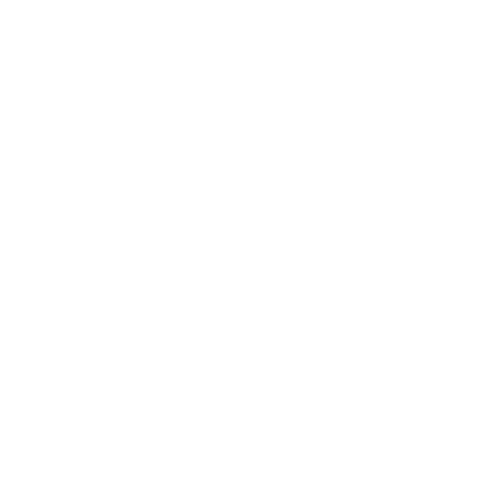 Air New Zealand
 logo on a dark background (transparent PNG)
