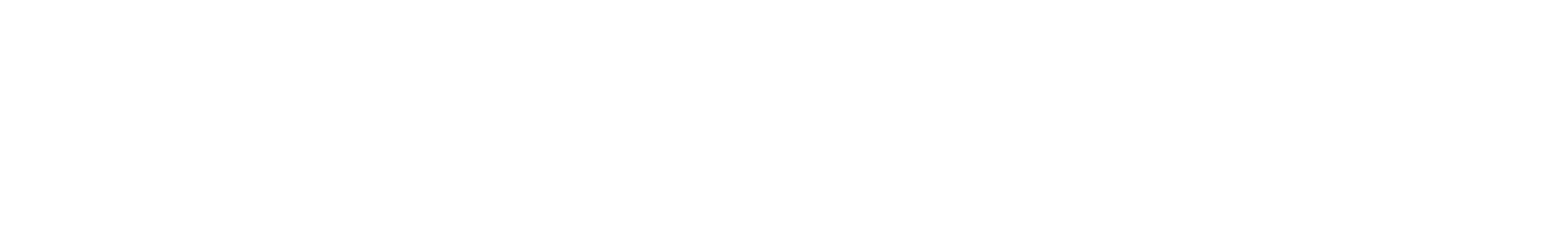 Air New Zealand
 logo fulle size on a dark background (transparent PNG)