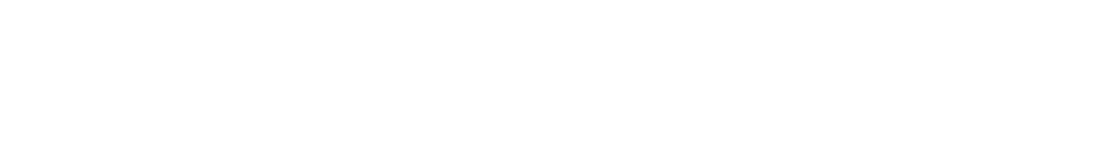Delfingen Industry Logo groß für dunkle Hintergründe (transparentes PNG)