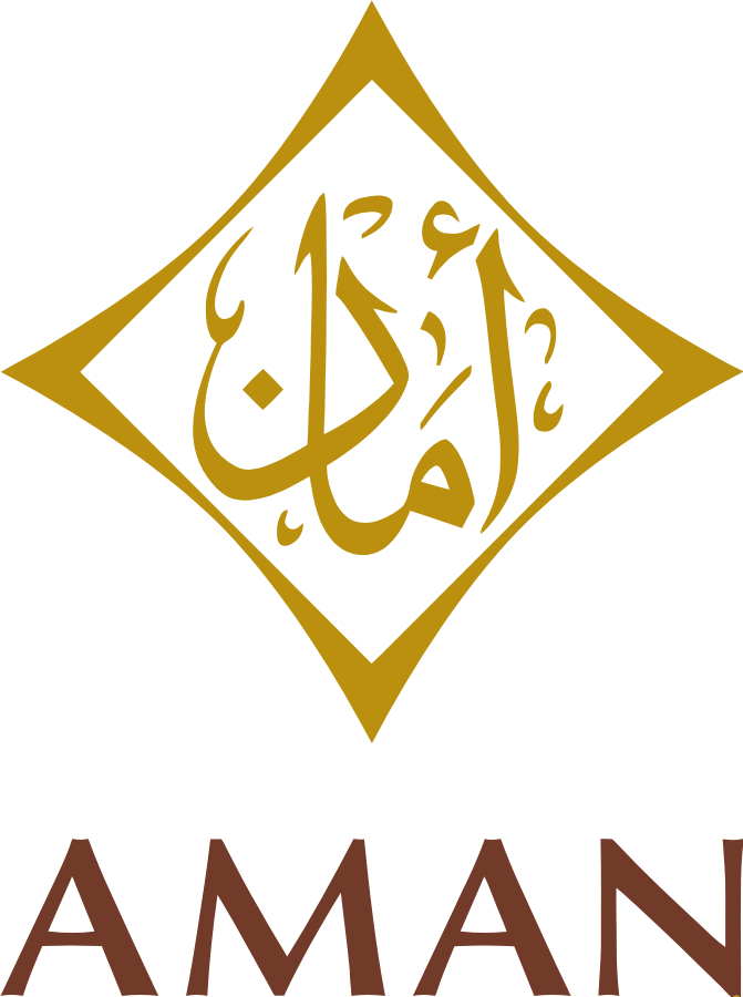 Dubai Islamic Insurance & Reinsurance logo large (transparent PNG)