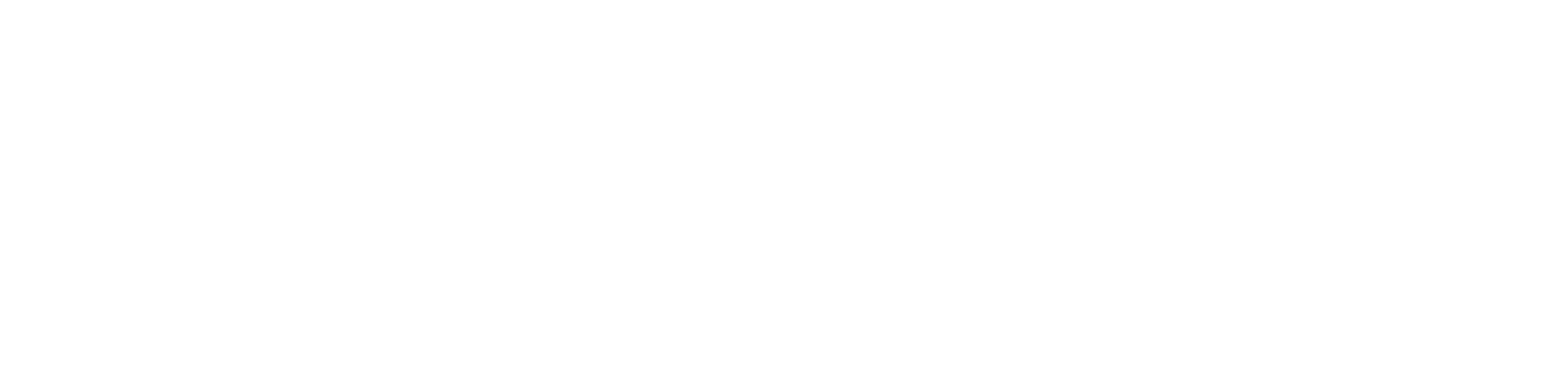AMD Logo groß für dunkle Hintergründe (transparentes PNG)