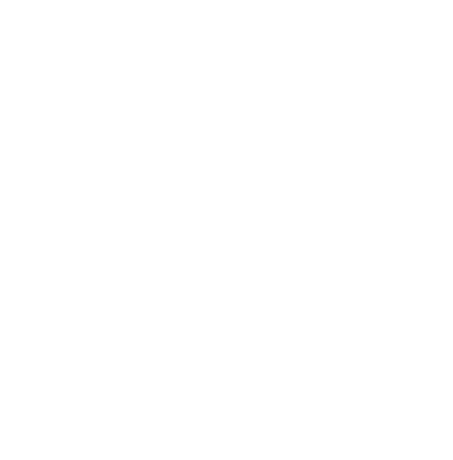 Anika Therapeutics logo on a dark background (transparent PNG)