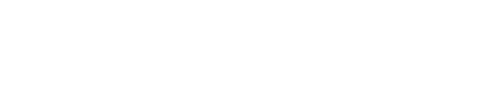 Anika Therapeutics logo fulle size on a dark background (transparent PNG)