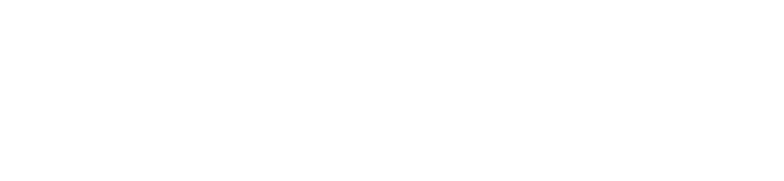 Grupo Aeroportuario del Sureste
 logo on a dark background (transparent PNG)