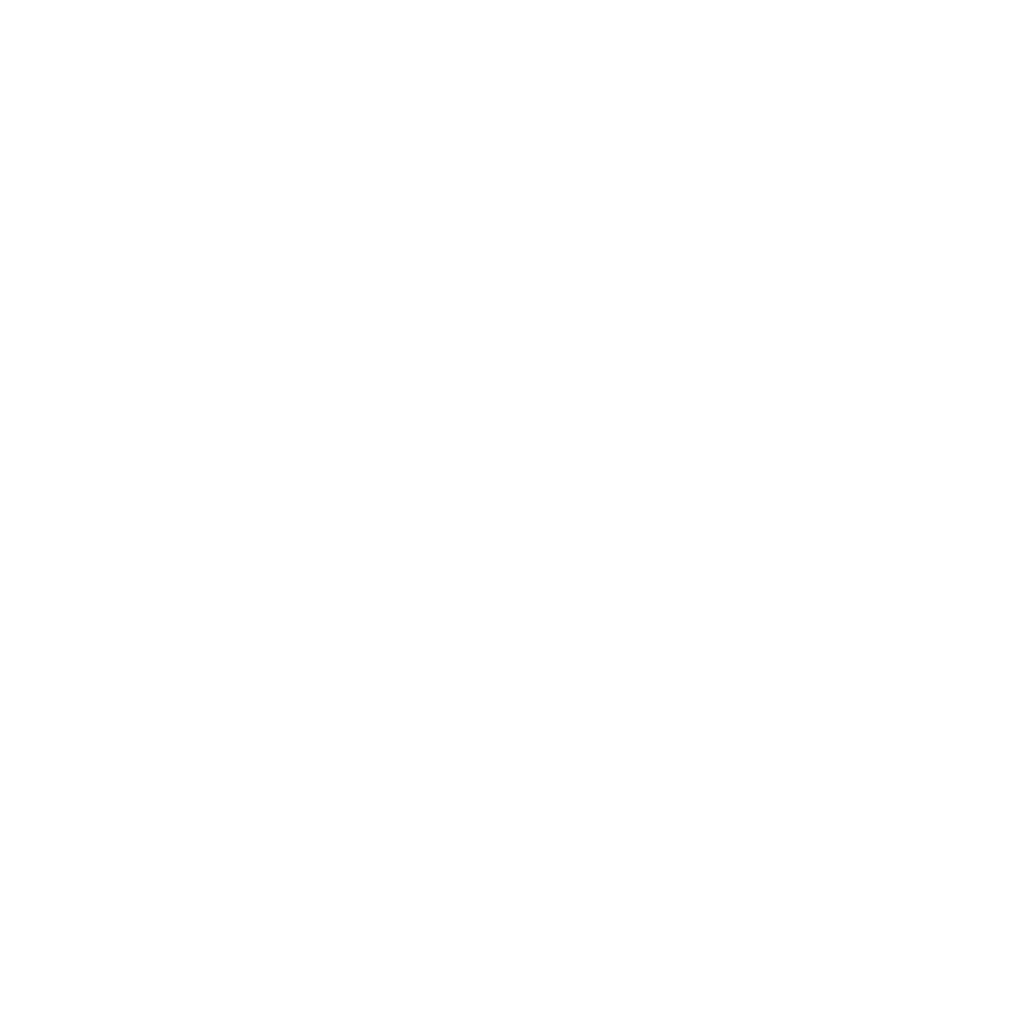 Broadcom logo in monochrome white (transparent PNG)
