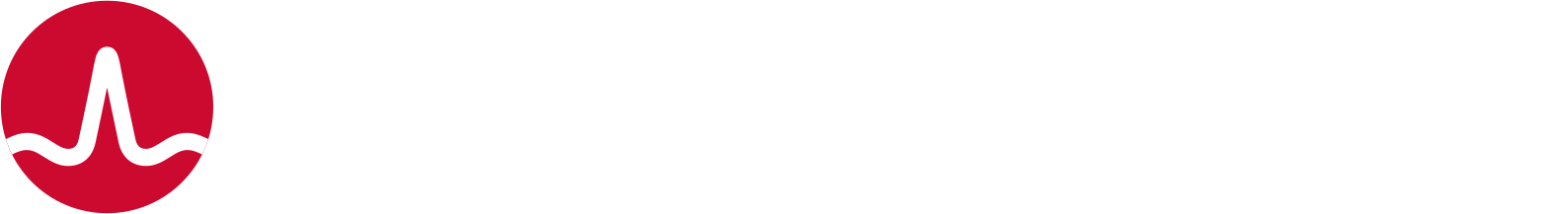 Broadcom Logo groß für dunkle Hintergründe (transparentes PNG)