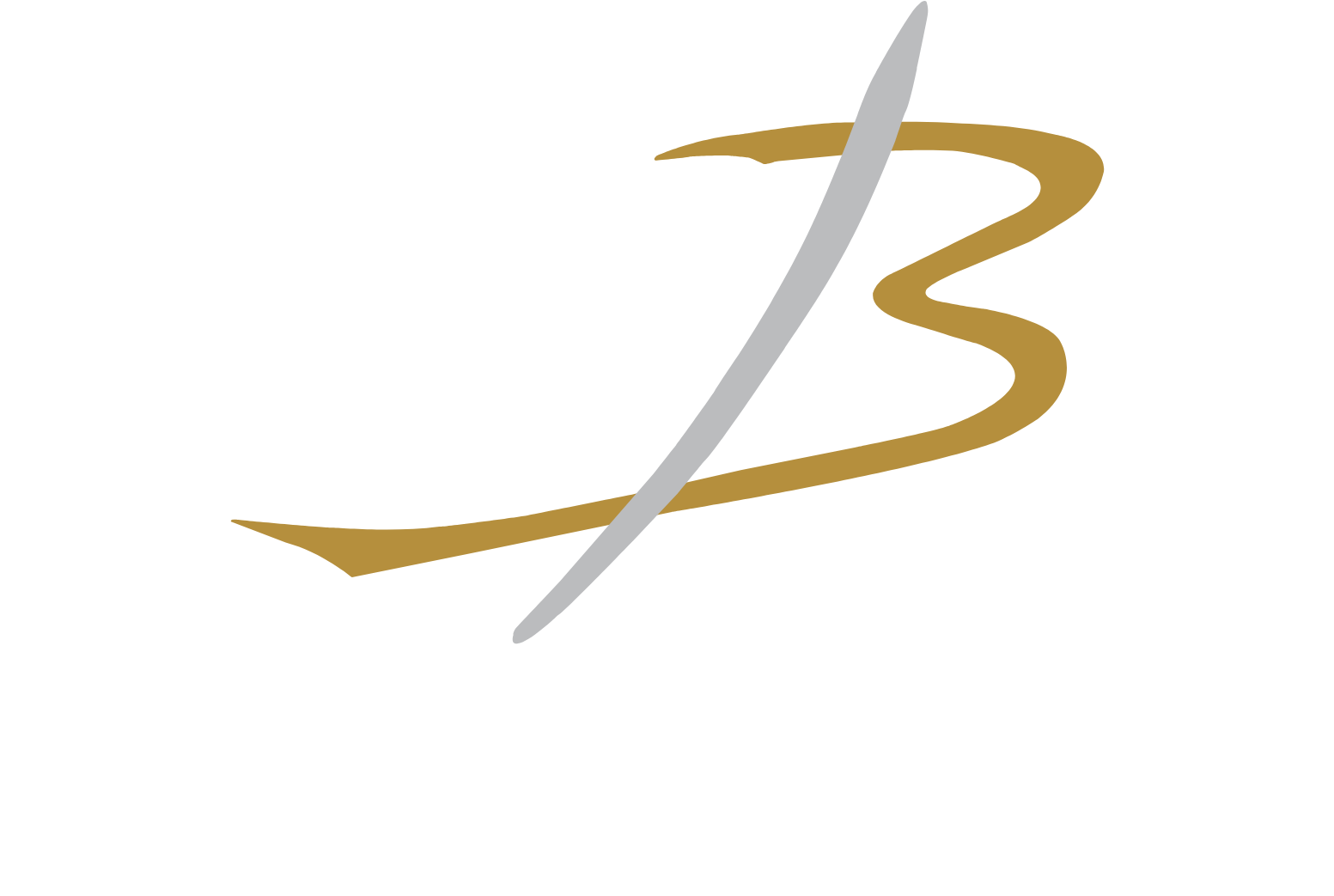 Bayan Investment Holding Company  logo grand pour les fonds sombres (PNG transparent)