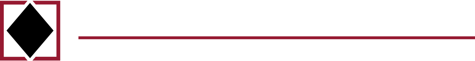 Black Diamond Group Logo groß für dunkle Hintergründe (transparentes PNG)