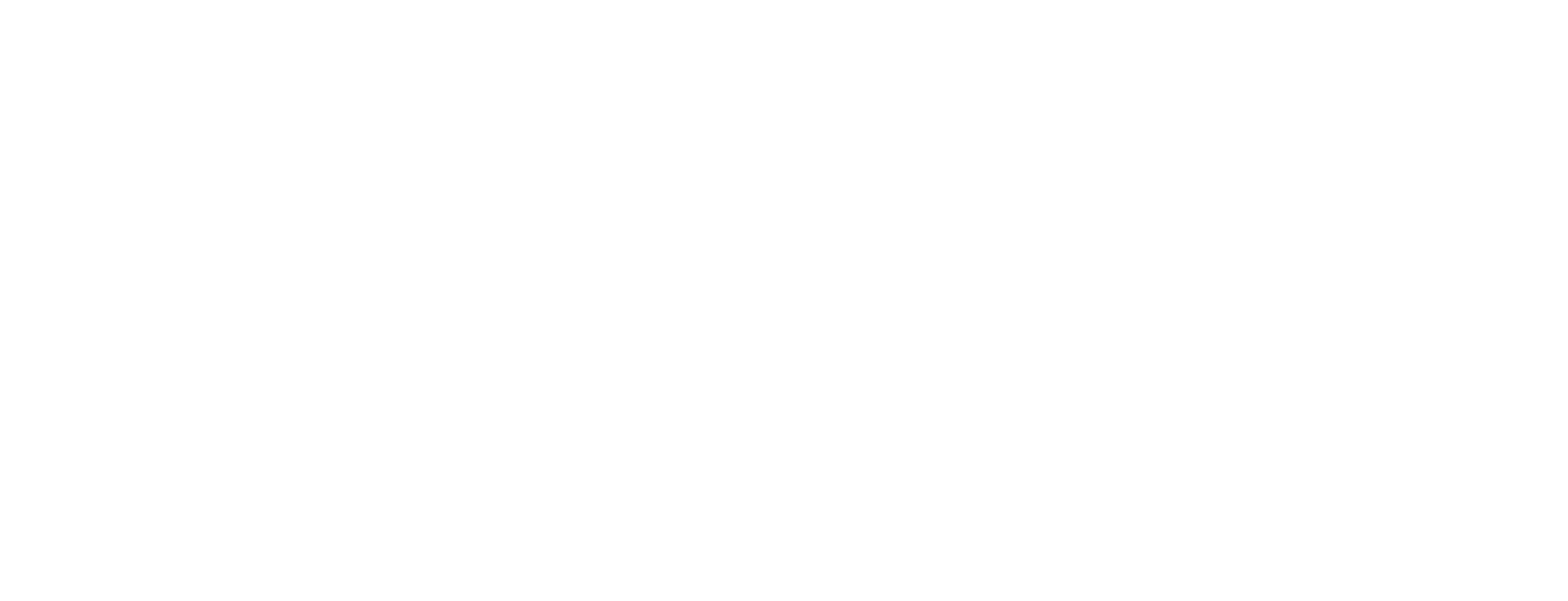 Becton Dickinson logo fulle size on a dark background (transparent PNG)