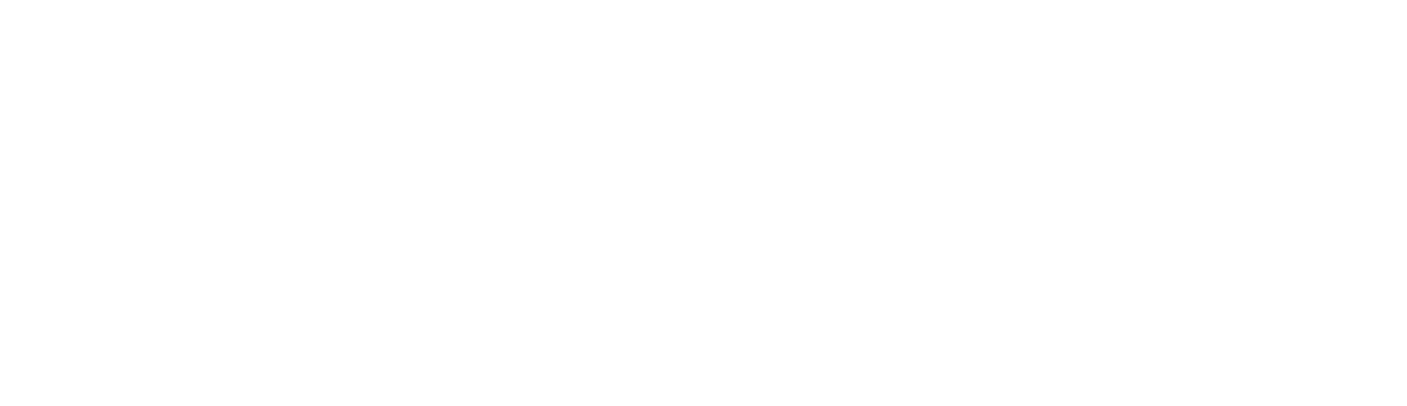 Basic-Fit logo fulle size on a dark background (transparent PNG)
