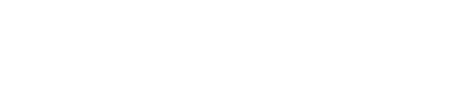 BICO Group logo fulle size on a dark background (transparent PNG)
