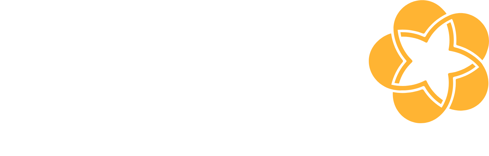 BIDV  (Commercial Bank for Investment and Development of Vietnam) Logo groß für dunkle Hintergründe (transparentes PNG)