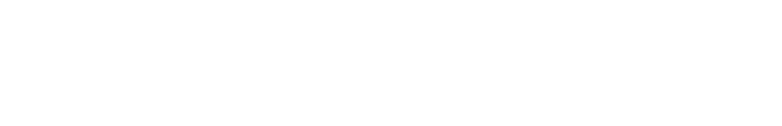 Birkenstock logo fulle size on a dark background (transparent PNG)