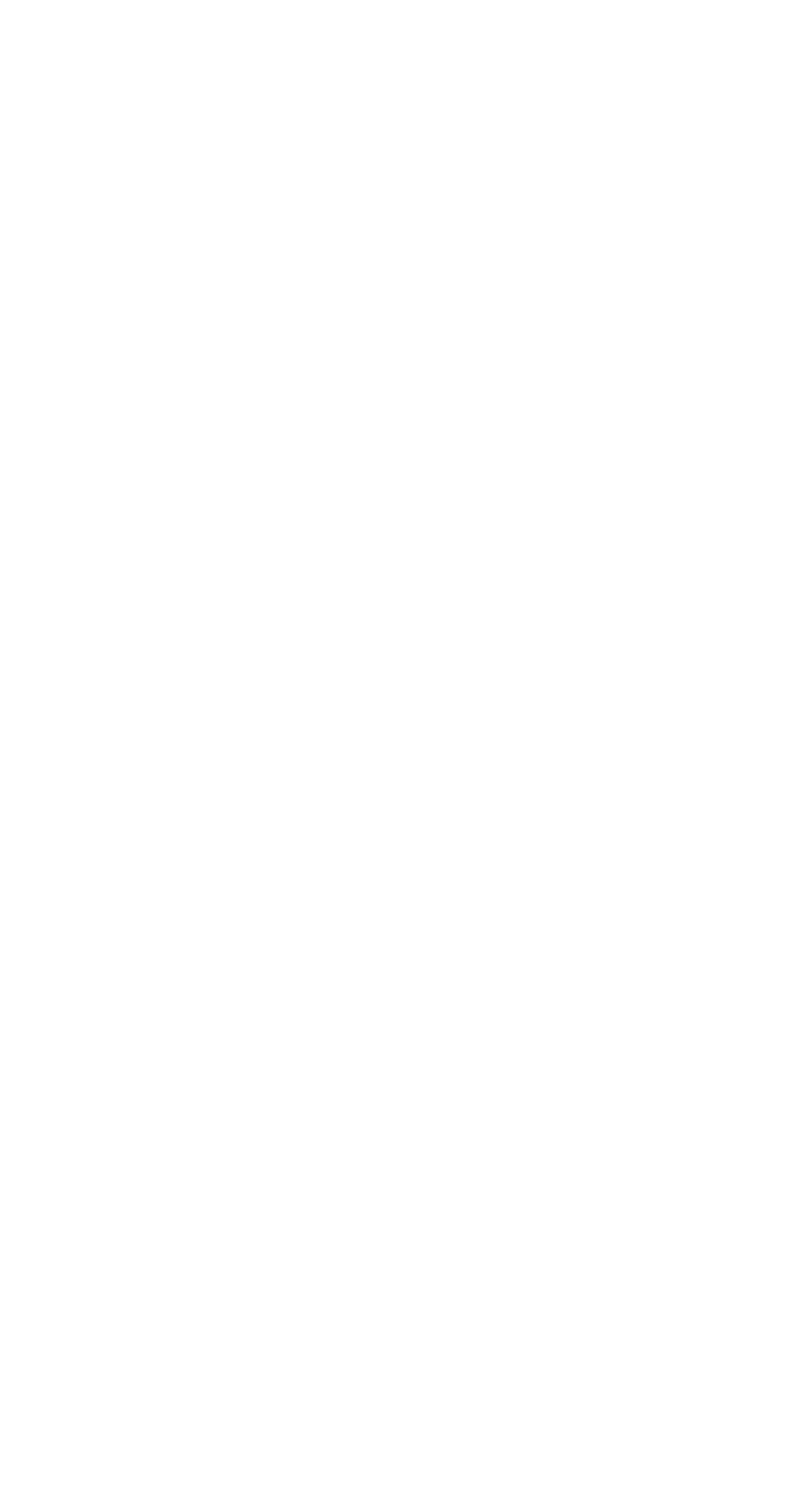 Brickworks Limited logo on a dark background (transparent PNG)