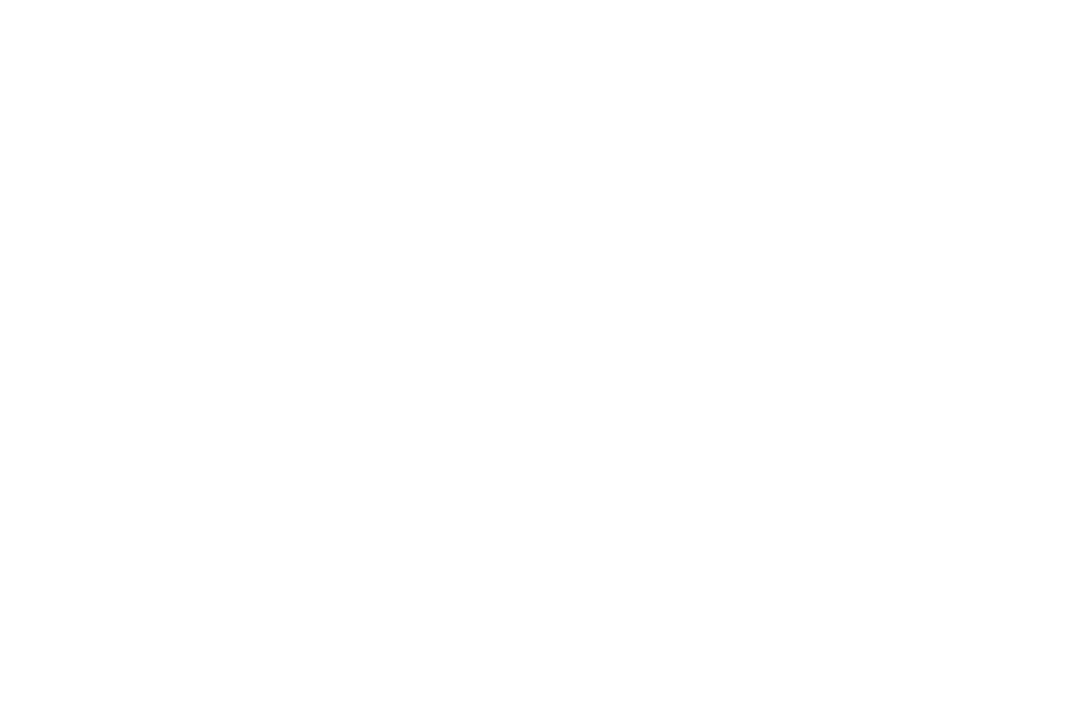 BLS International
 logo grand pour les fonds sombres (PNG transparent)