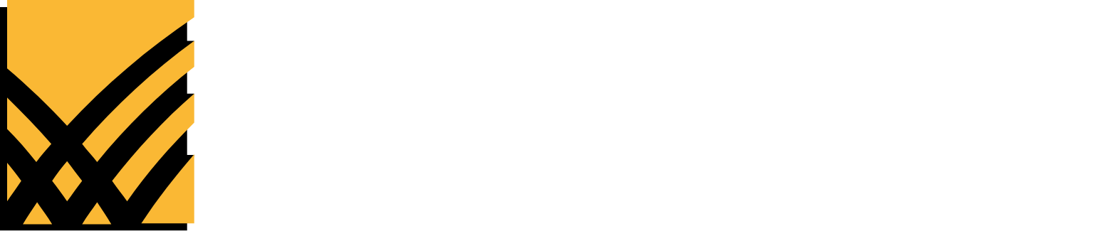 BlackLine logo grand pour les fonds sombres (PNG transparent)