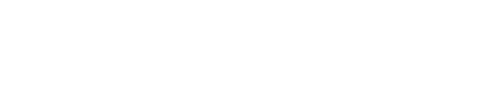 Broadstone Net Lease Logo groß für dunkle Hintergründe (transparentes PNG)
