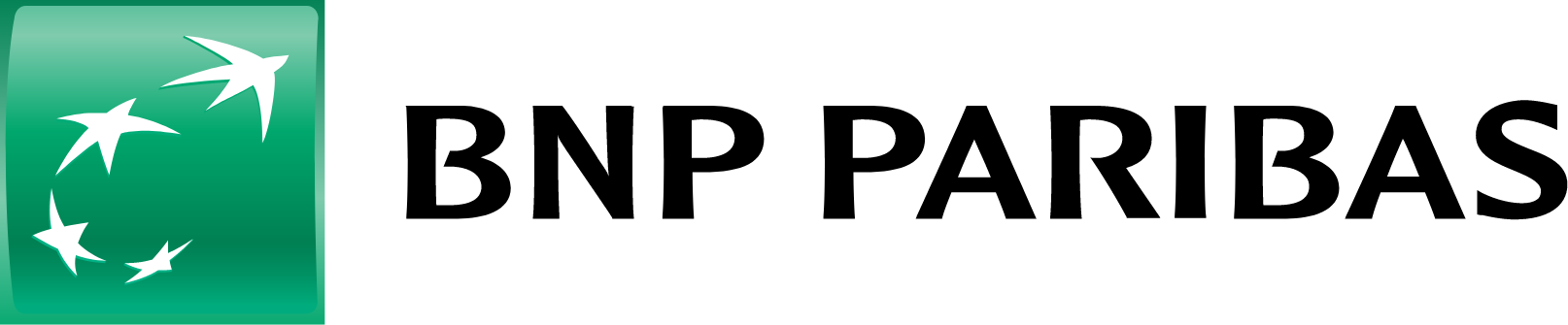 BNP Paribas logo large (transparent PNG)