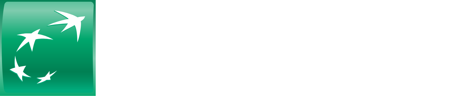 BNP Paribas logo fulle size on a dark background (transparent PNG)