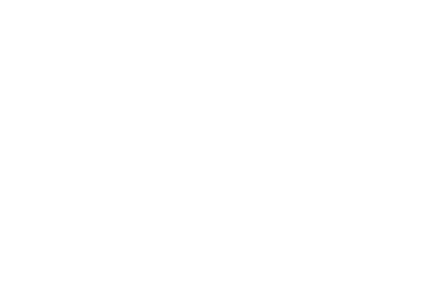 Bodal Chemicals Logo für dunkle Hintergründe (transparentes PNG)