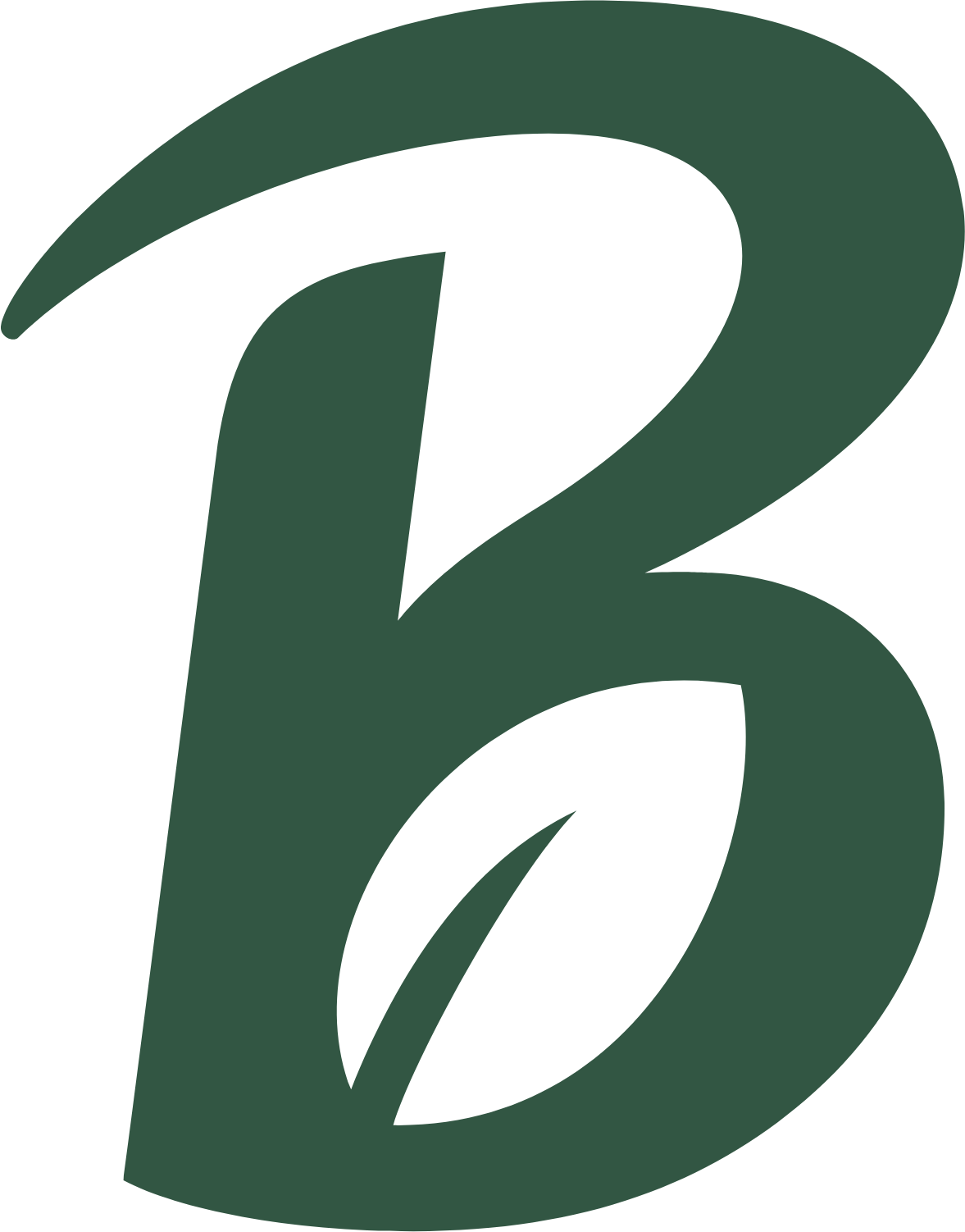 Bonduelle logo (PNG transparent)