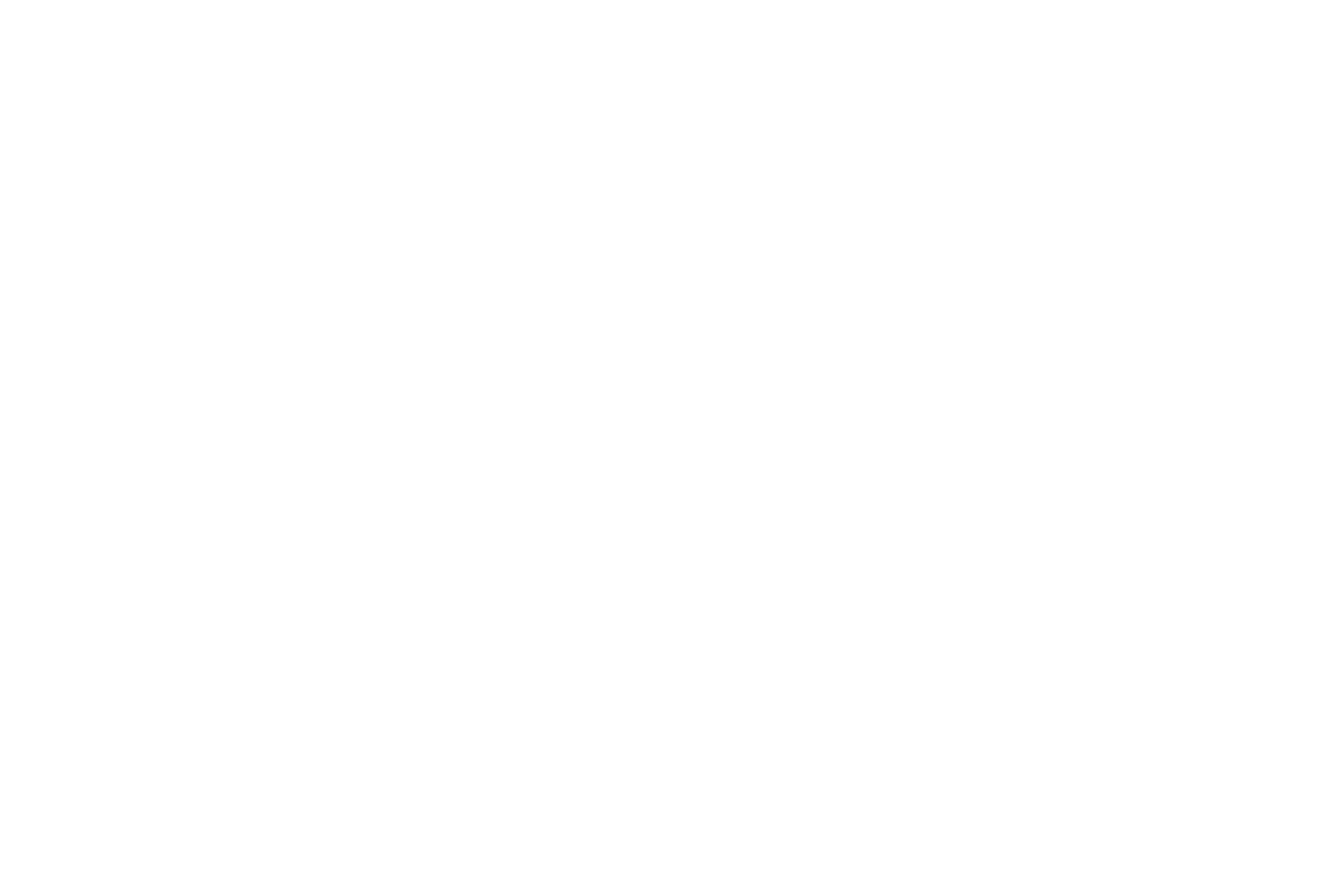Bonheur ASA logo on a dark background (transparent PNG)