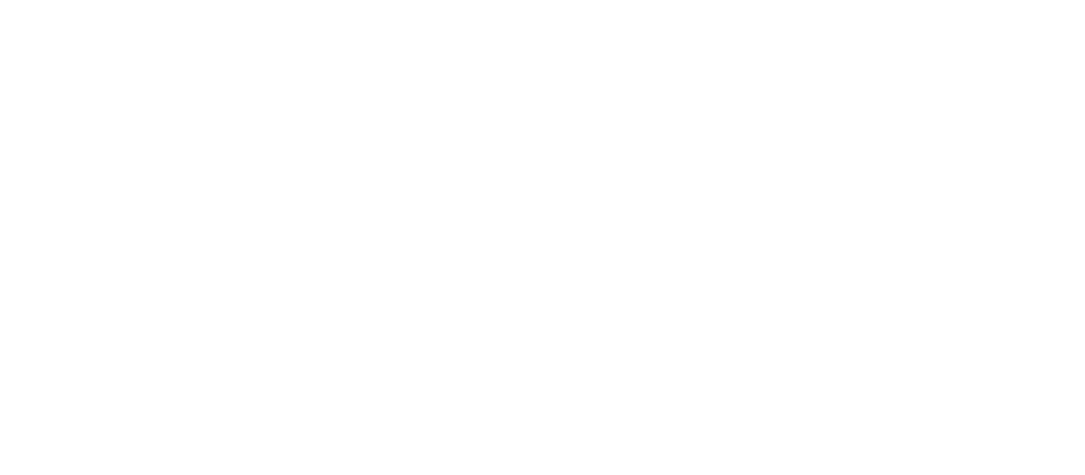 Borouge logo large for dark backgrounds (transparent PNG)