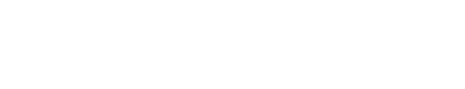 Bonei Hatichon Civil Engineering & Infrastructures logo grand pour les fonds sombres (PNG transparent)