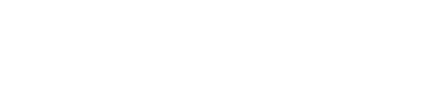 Bravida Holding logo grand pour les fonds sombres (PNG transparent)