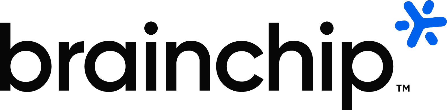BrainChip logo large (transparent PNG)