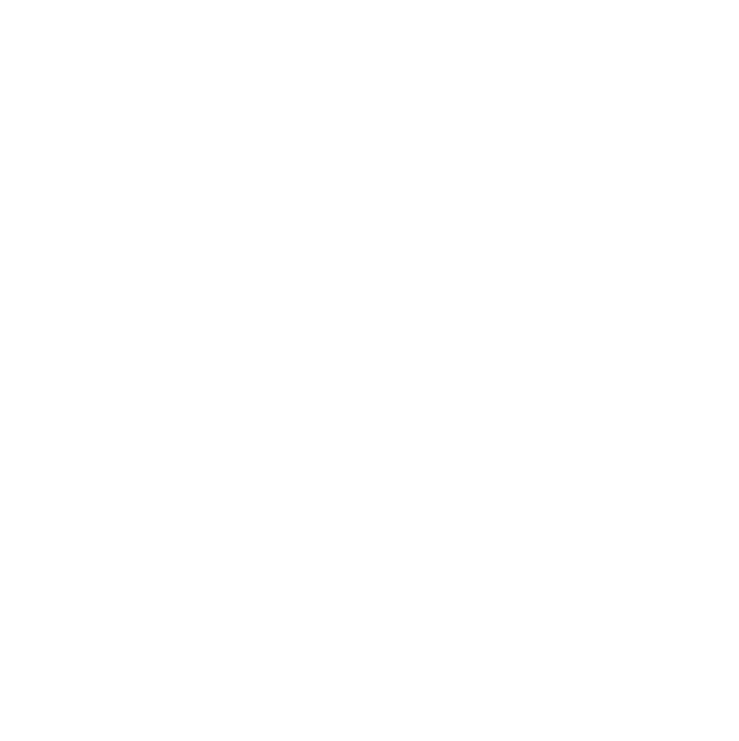 Braze logo pour fonds sombres (PNG transparent)