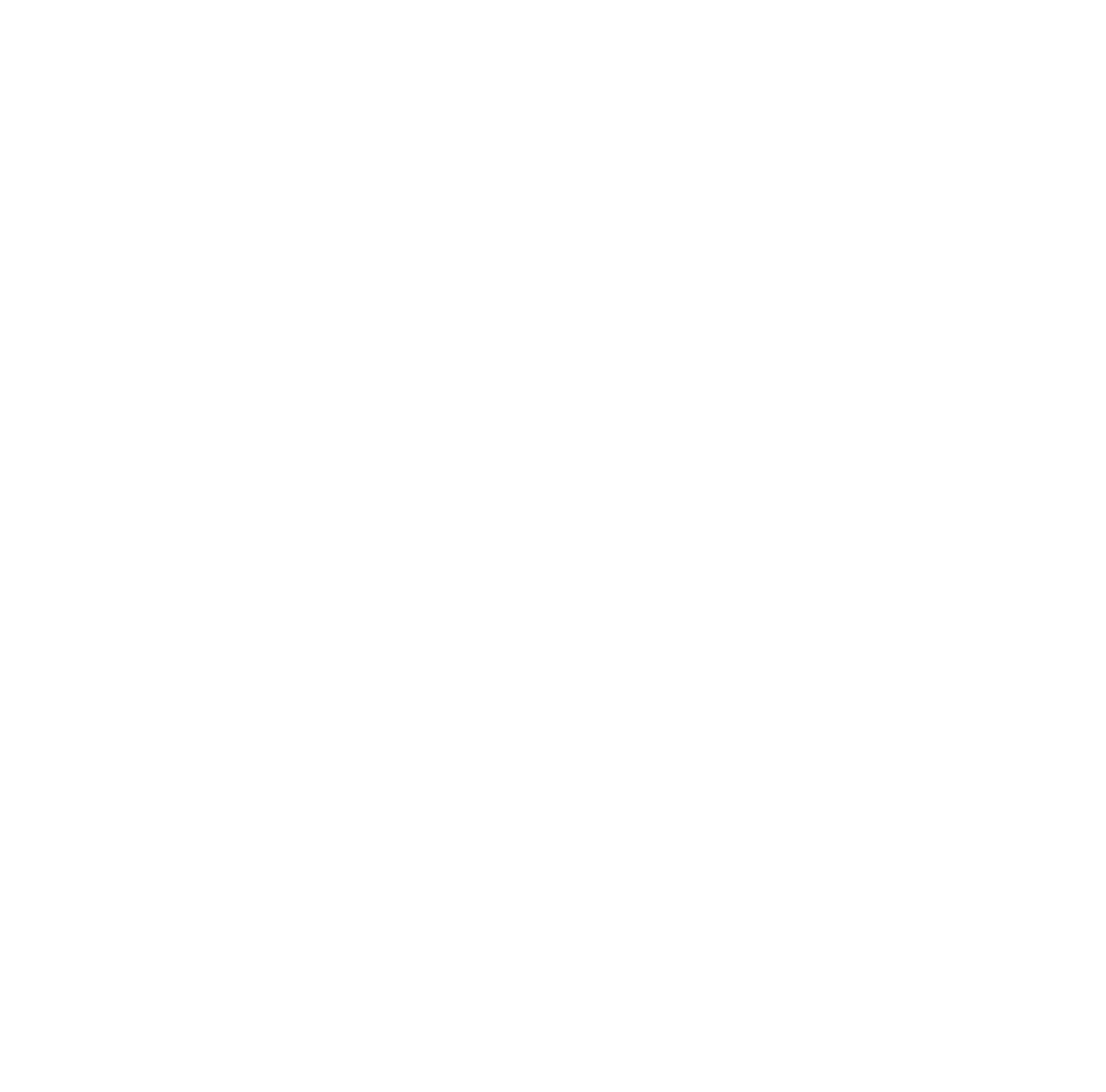 BrightSpring Health Services logo on a dark background (transparent PNG)