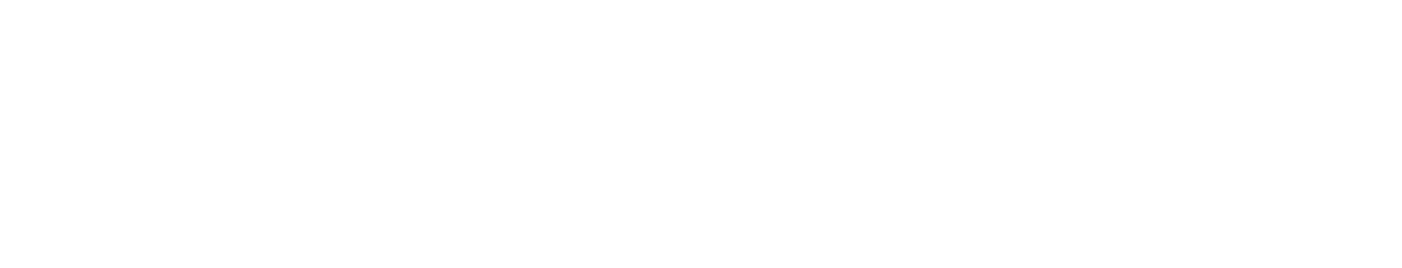 BrightSpring Health Services logo fulle size on a dark background (transparent PNG)