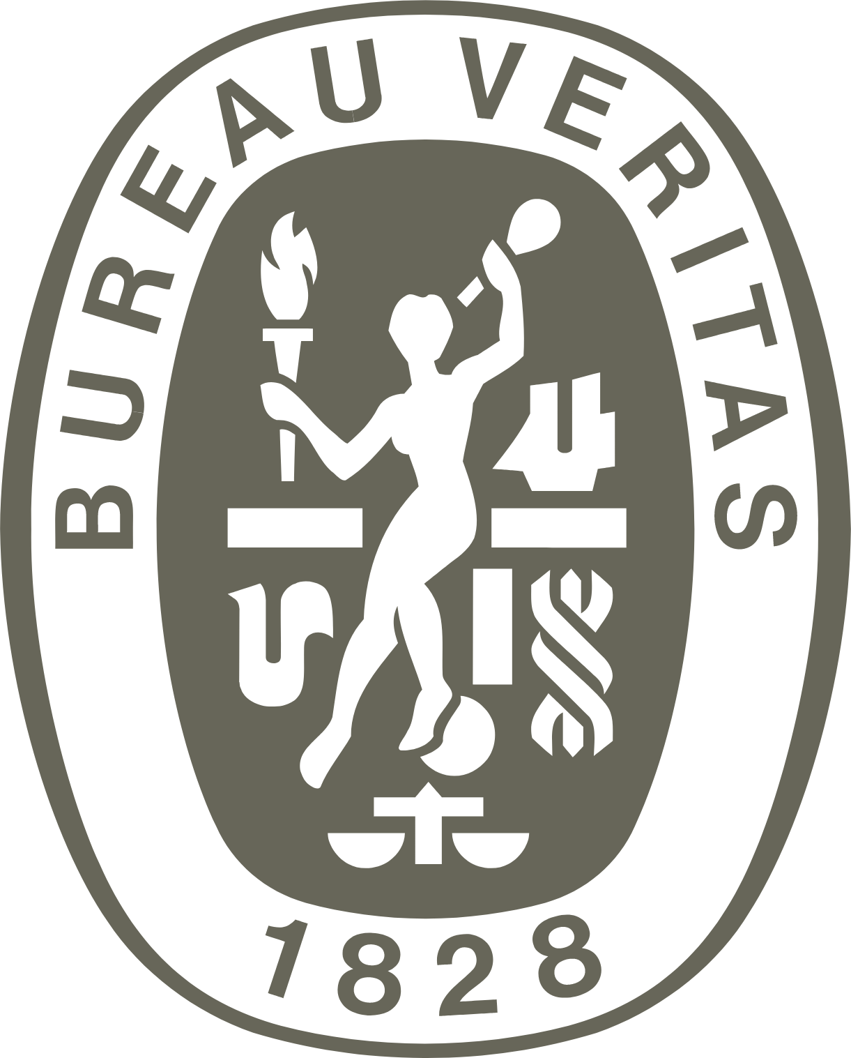 Bureau Veritas logo (transparent PNG)