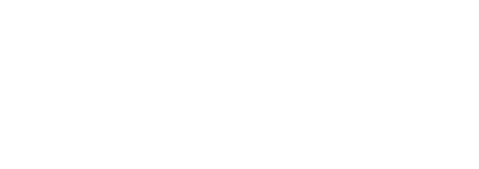 BrightView
 logo grand pour les fonds sombres (PNG transparent)