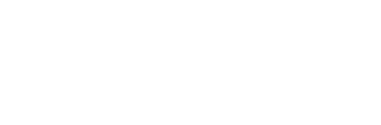 BorgWarner logo on a dark background (transparent PNG)