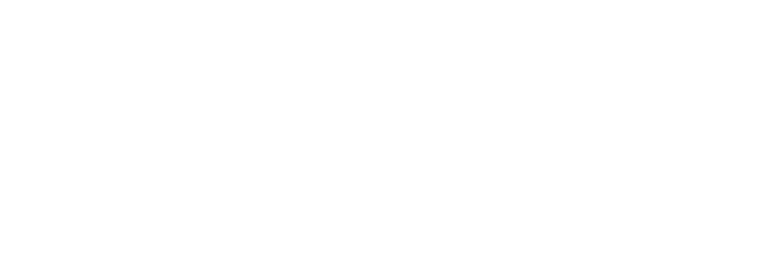 Baldwin Insurance Group logo fulle size on a dark background (transparent PNG)