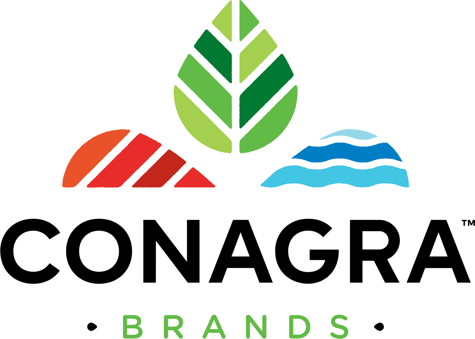 Conagra Brands
 logo large (transparent PNG)