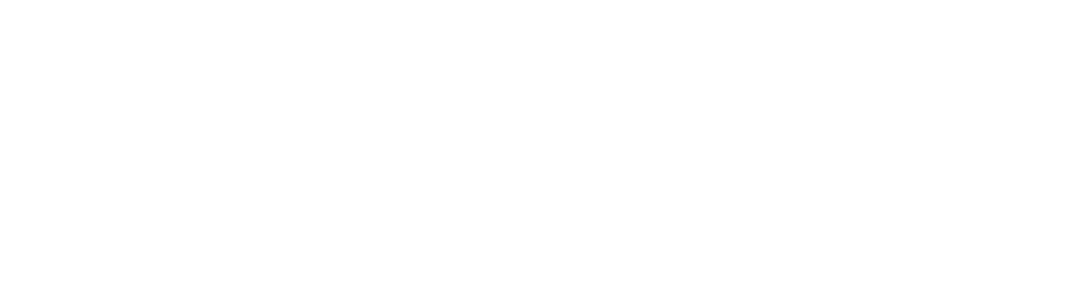 Chain Bridge Bancorp logo grand pour les fonds sombres (PNG transparent)