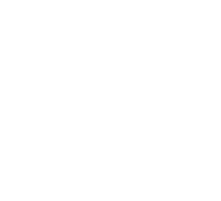 Chaince Digital Holdings logo on a dark background (transparent PNG)