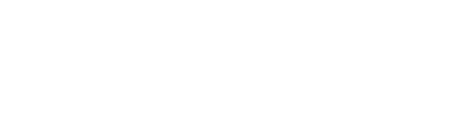 Cognyte Software logo grand pour les fonds sombres (PNG transparent)