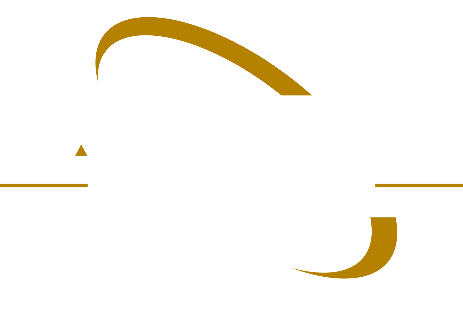 Capricorn Metals logo pour fonds sombres (PNG transparent)