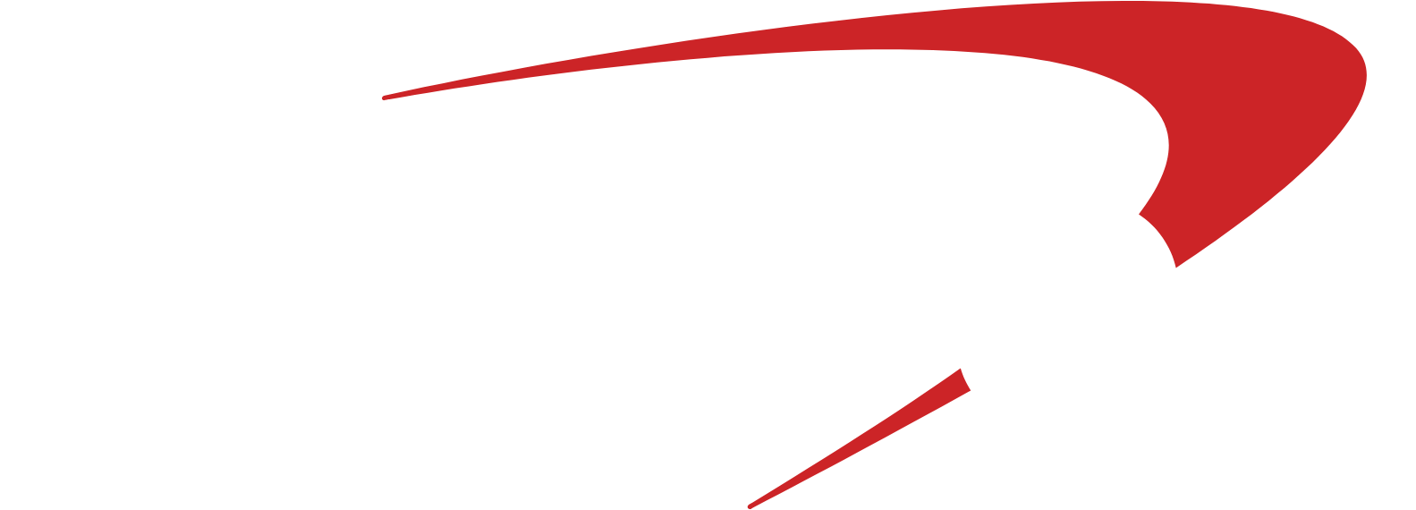 Capital One logo grand pour les fonds sombres (PNG transparent)