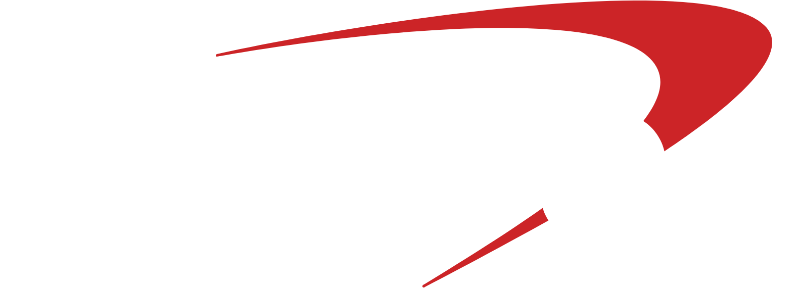 Capital One logo fulle size on a dark background (transparent PNG)