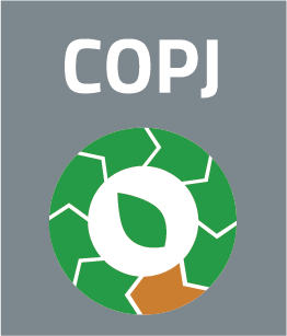 Sprott Junior Copper Miners ETF logo (transparent PNG)