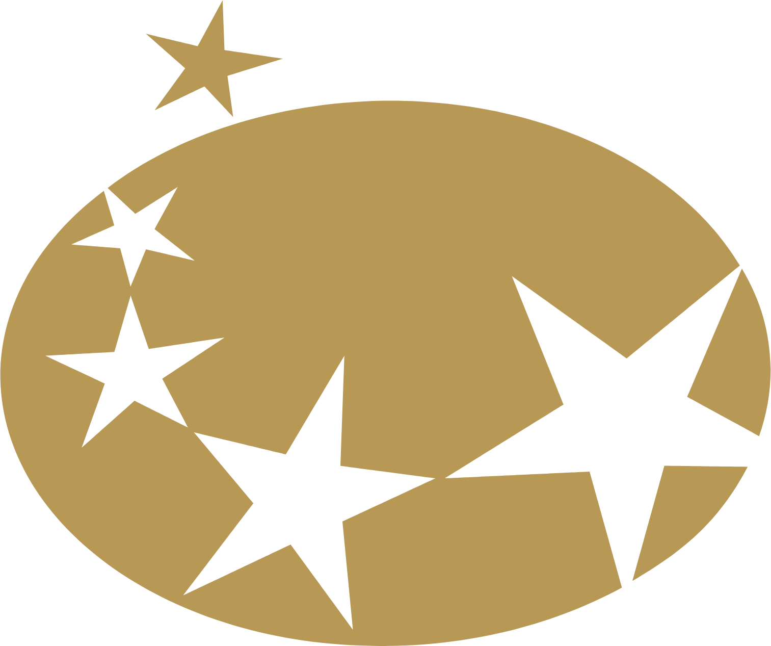 Chargeurs logo (PNG transparent)