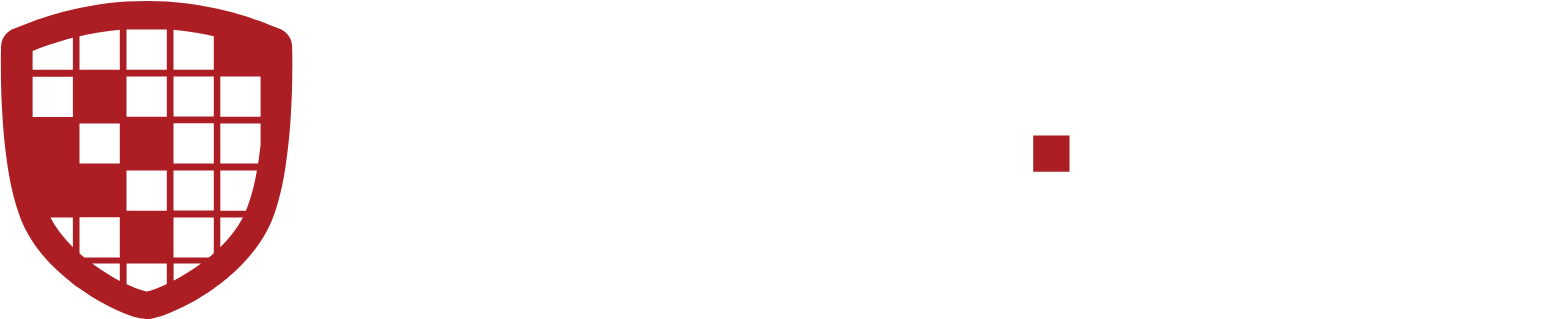 Digital Ally Logo groß für dunkle Hintergründe (transparentes PNG)