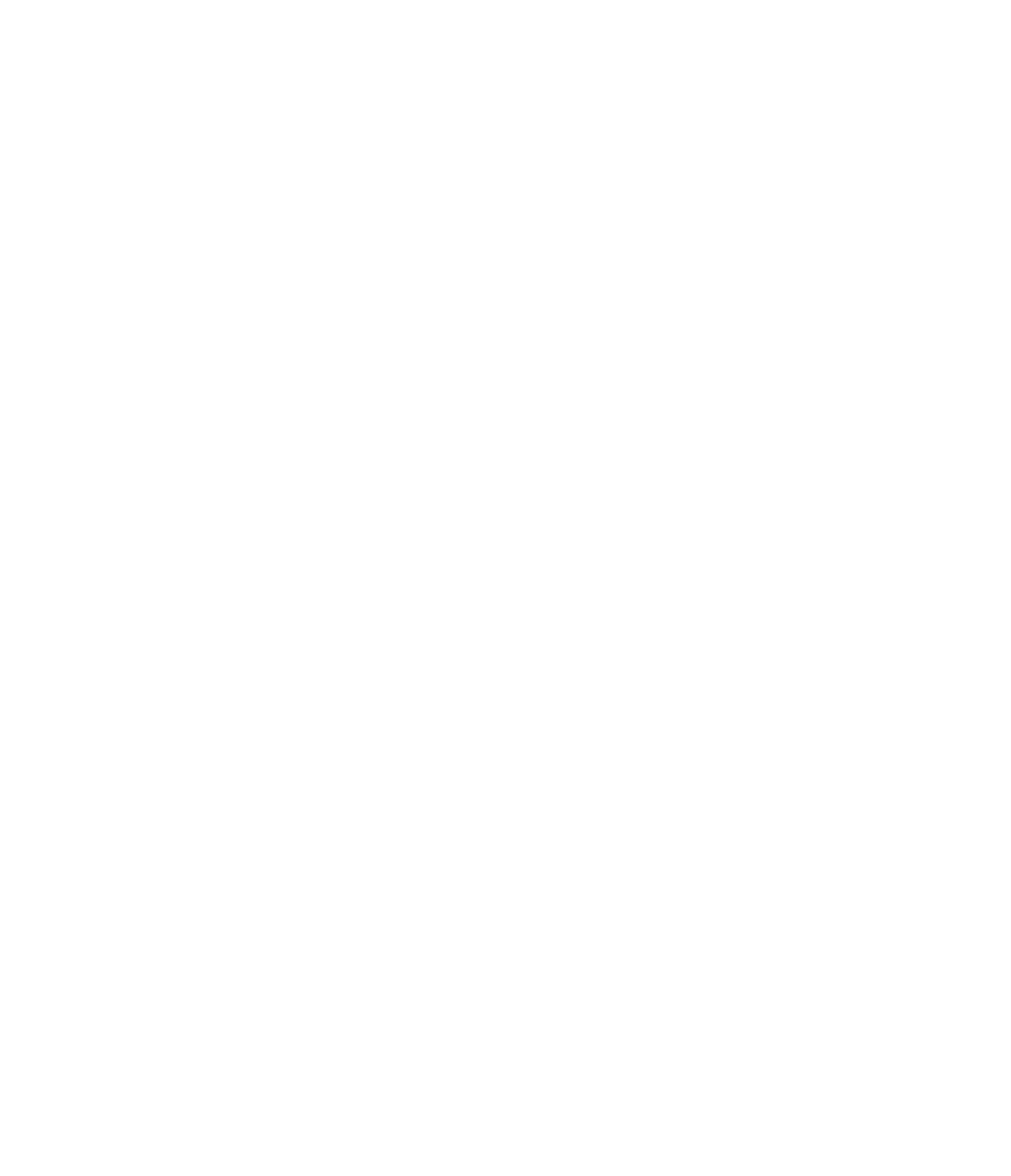 DiaSorin logo on a dark background (transparent PNG)